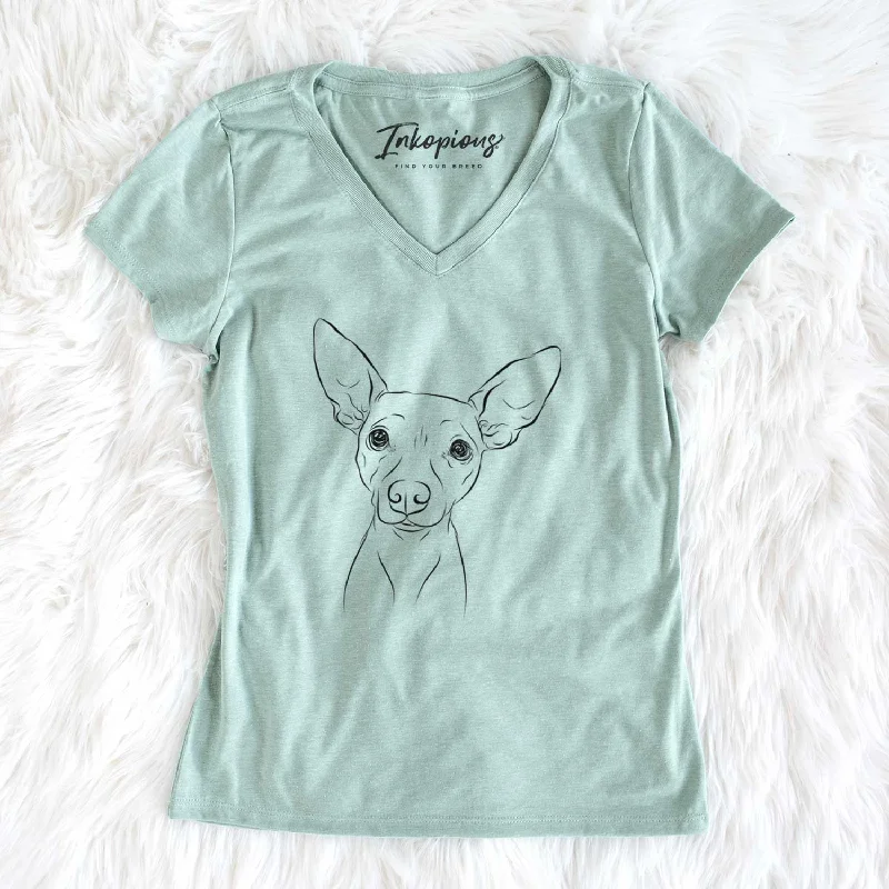 Bare Desi the American Hairless Terrier - Women's V-neck Shirt-- Ribbed Striped Patterned